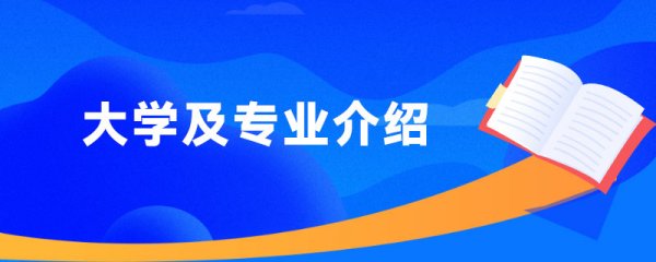 2022年新疆艺术学院学费多少钱