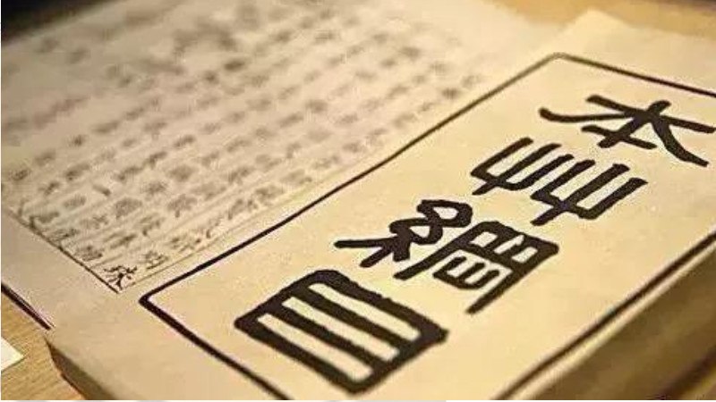 采取了析族区类振纲分目的医典是